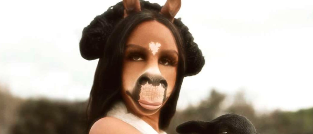 horsegiirL 1
