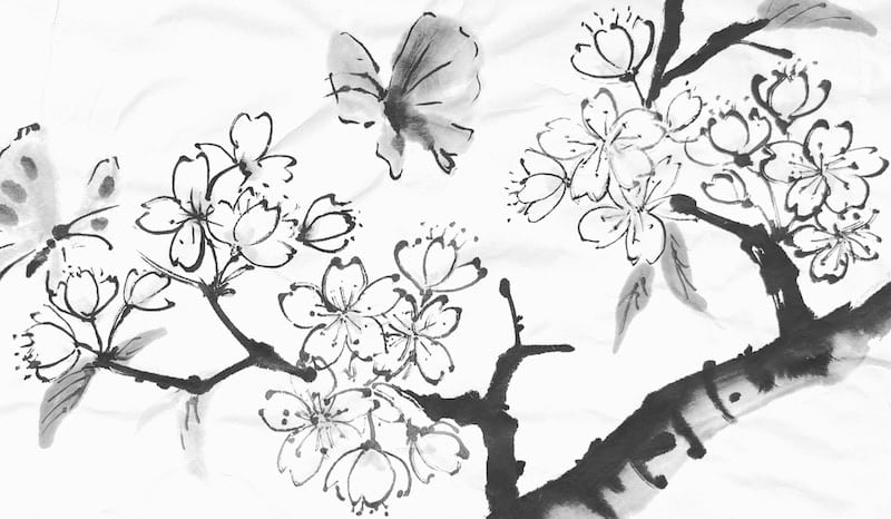 Sumi-E: Japanese Ink Painting – Cherry Blossoms (Sakura) 1