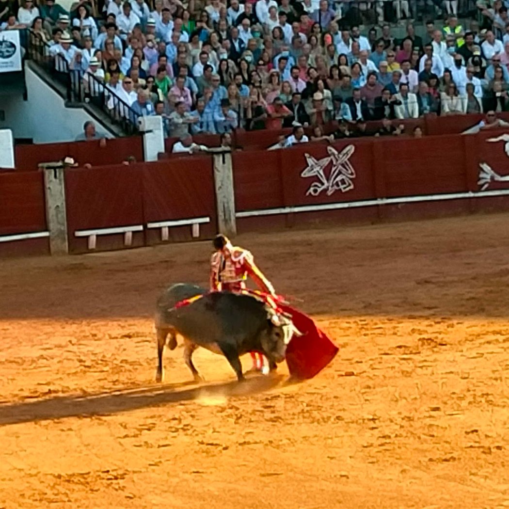 Plaza de toros de Aranjuez 3