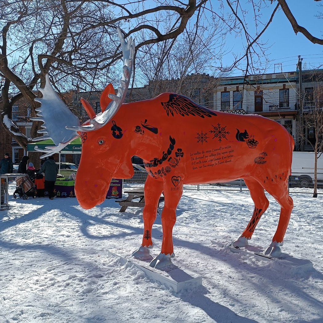 Montréal Boréal 1