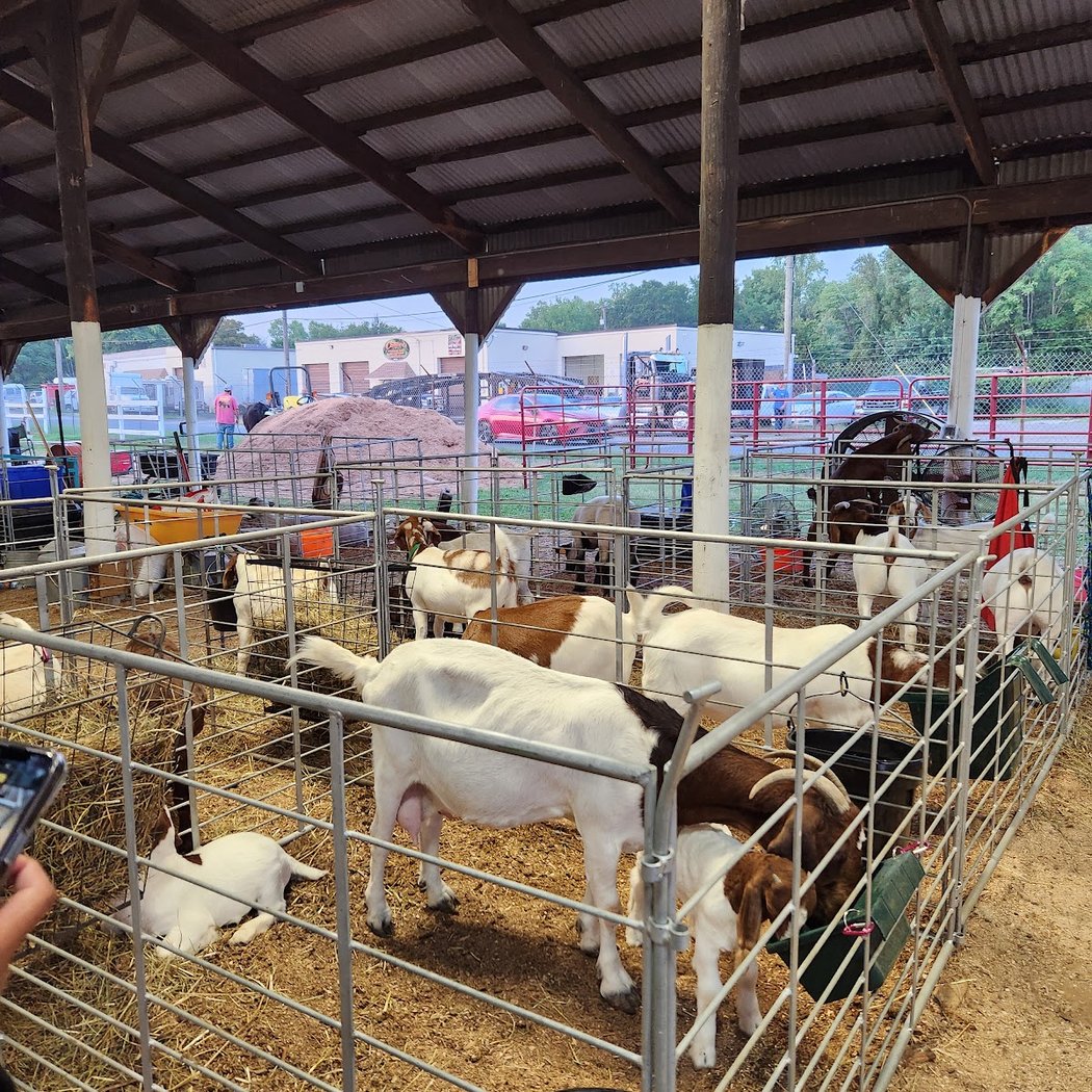 Fredericksburg Fairgrounds 4