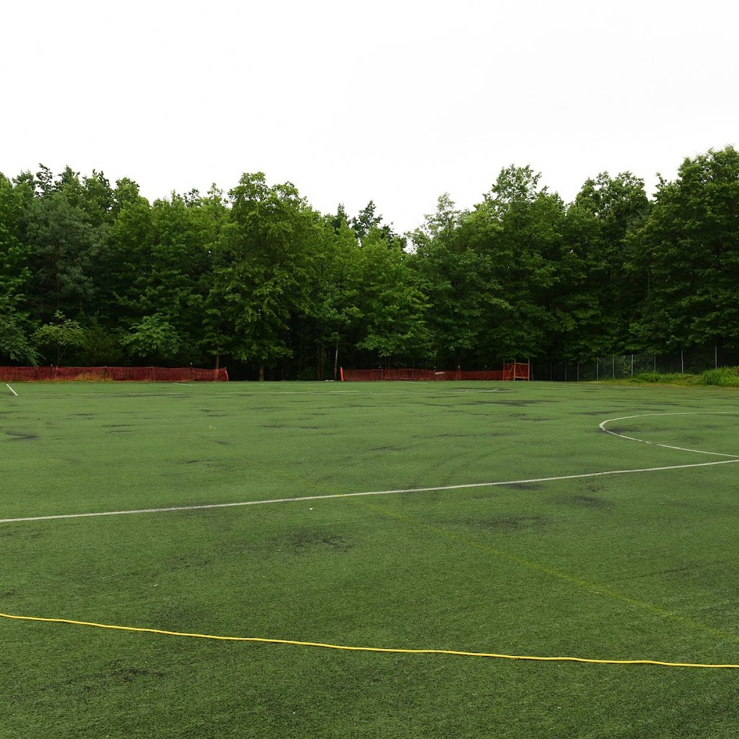 Bloomingdale Park 3