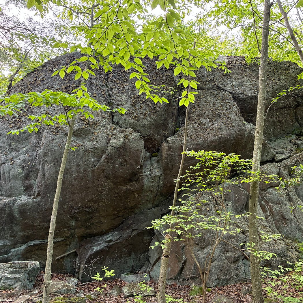 Cat Rocks 2