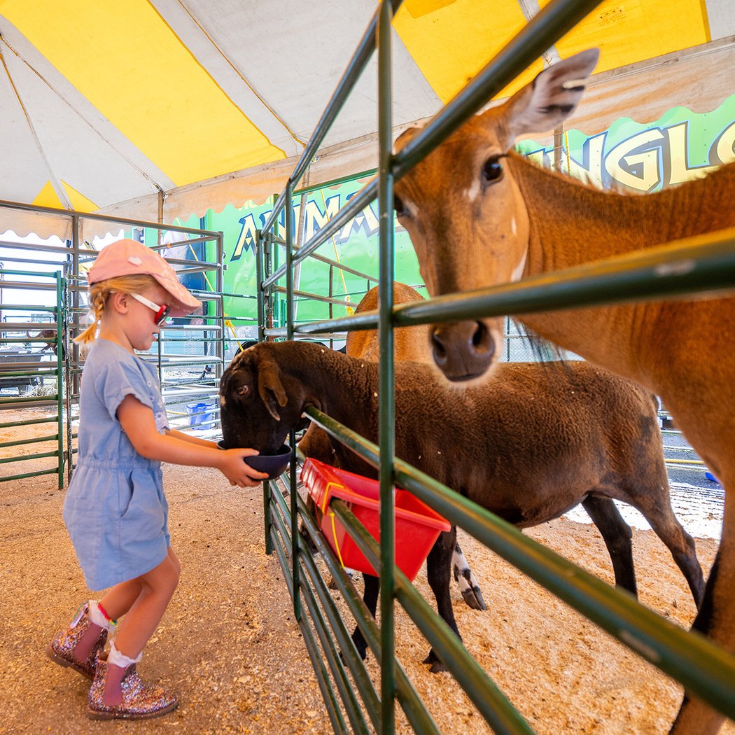Central Carolina Fair 4