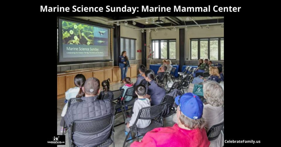 Marine Science Sunday - An Ocean Feast 1