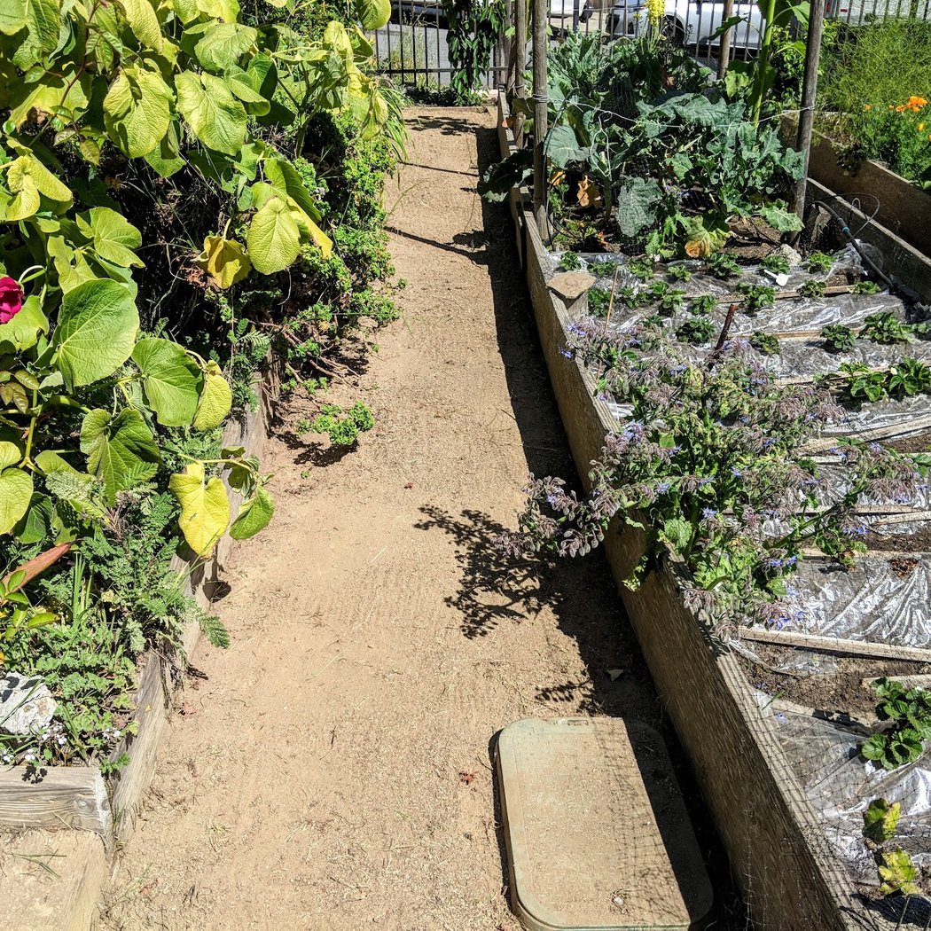Agriculture Lot of the Visitacion Valley Greenway 4