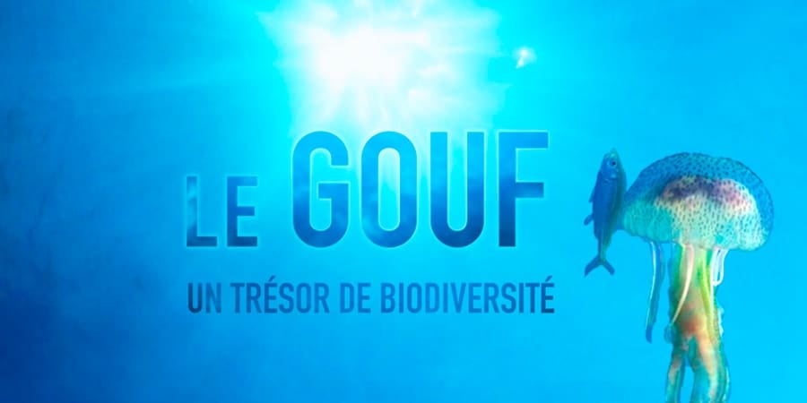 Le Gouf, un trésor de biodiversité 1