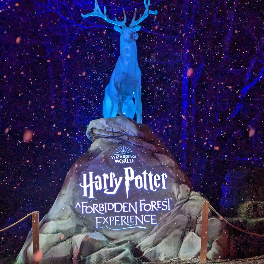 Harry Potter : A Forbidden Forest Experience