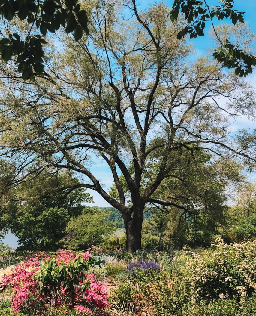 Fort Tryon Park 4