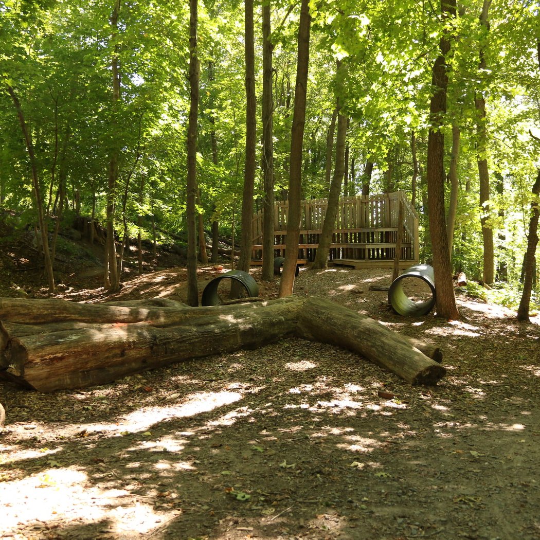 A Nature Year at Broad Meadow Brook 3