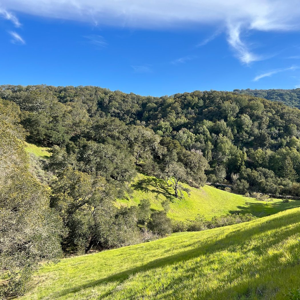 Family-Friendly Nature Walk 3