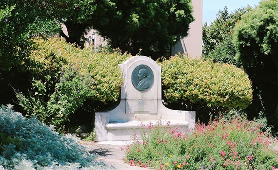 Telegraph Hill 2