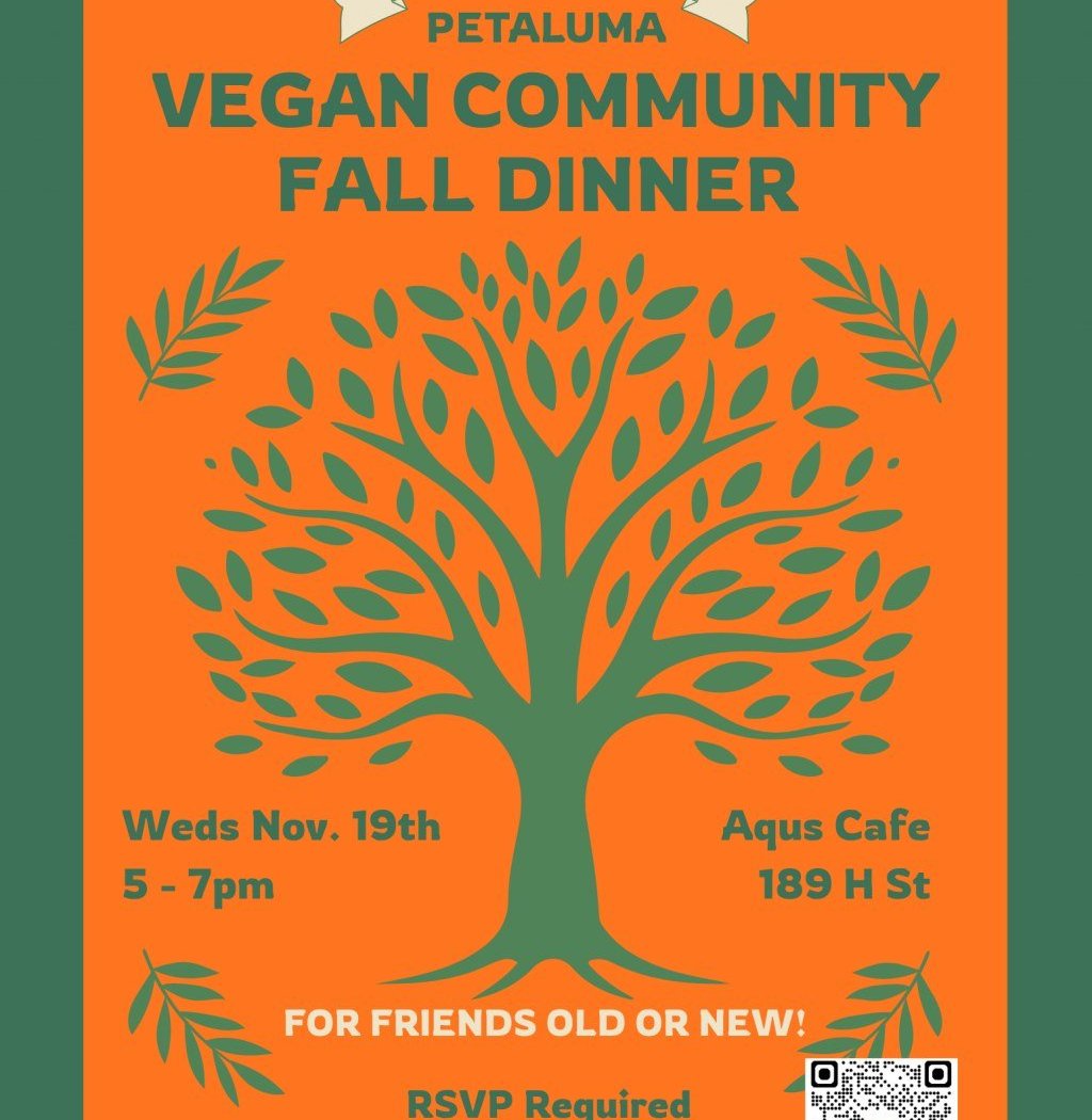 Vegan Community Fall Dinner 1