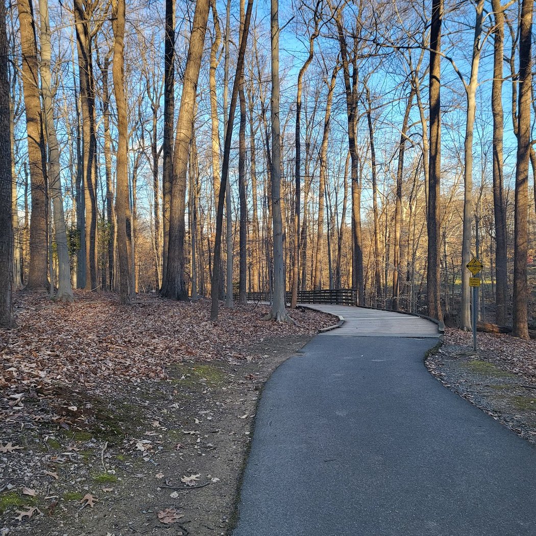 Matthew Henson Trail Cleanup 2