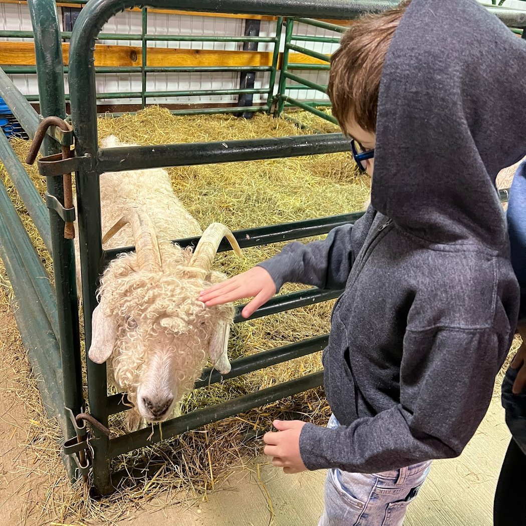 Lake Metroparks Farmpark (interactive farm play) 3