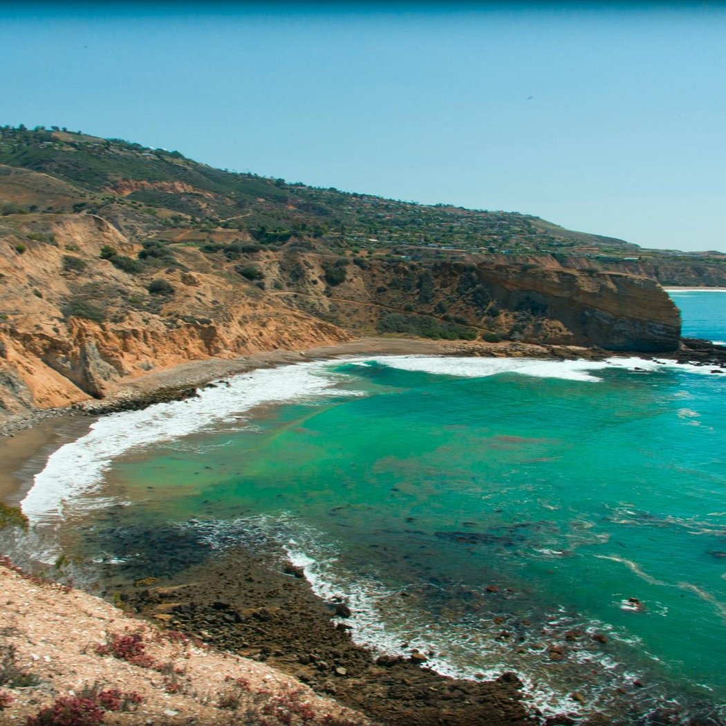 Abalone Cove Reserve Guided Walk 3