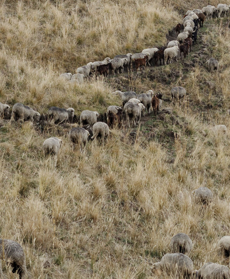 Etienne Maury – Paysage du Loup 1