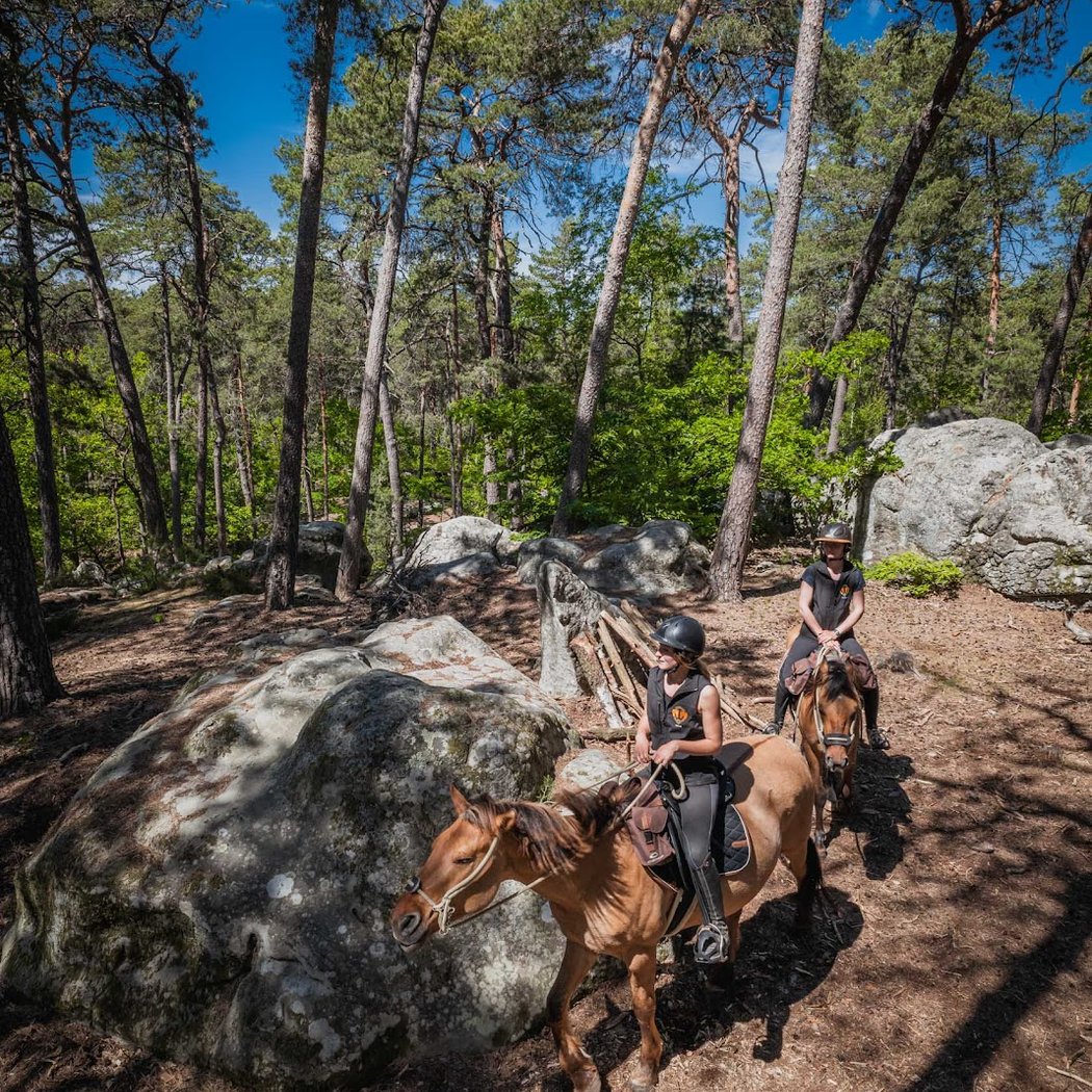Henson Pays de Fontainebleau - Balades à cheval 3
