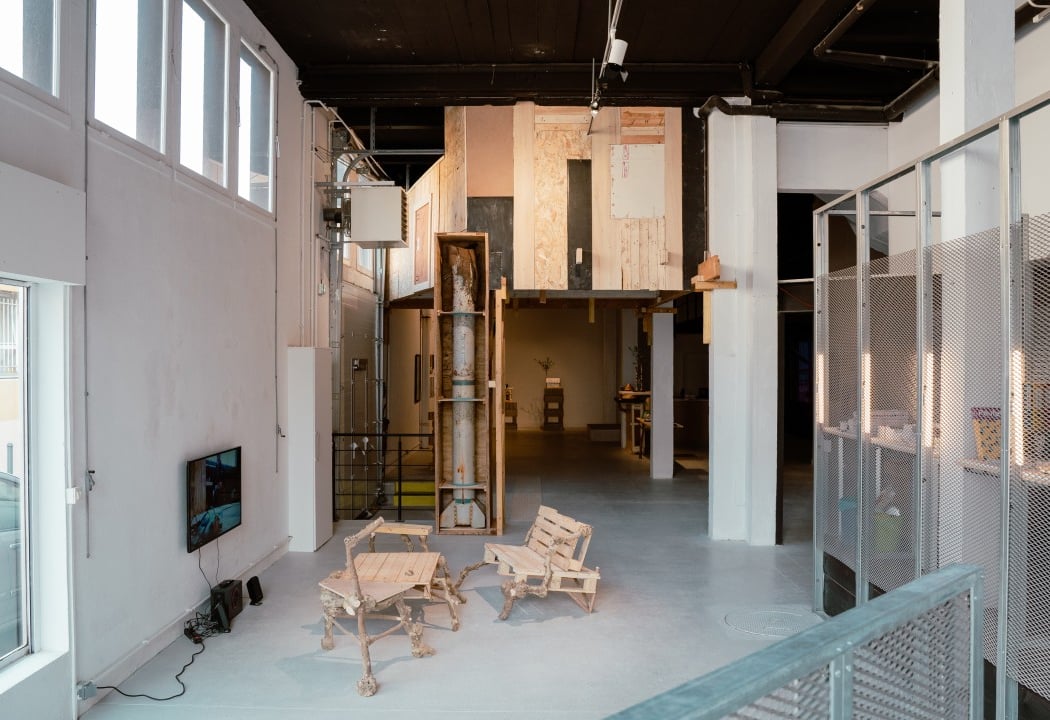 Zoo centre d'art contemporain 5
