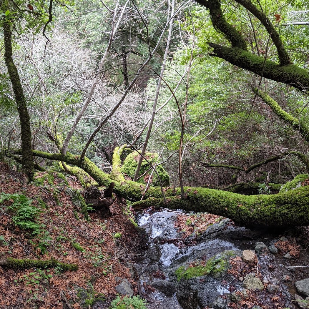 Cataract Trail 3