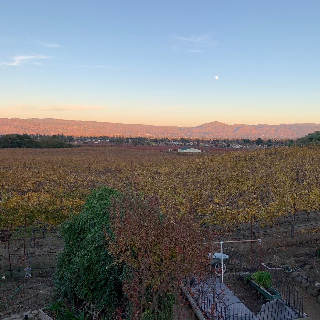 Play Like A Local: Wine Tasting & Bocce Ball At Frisinger Family Vineyard 3