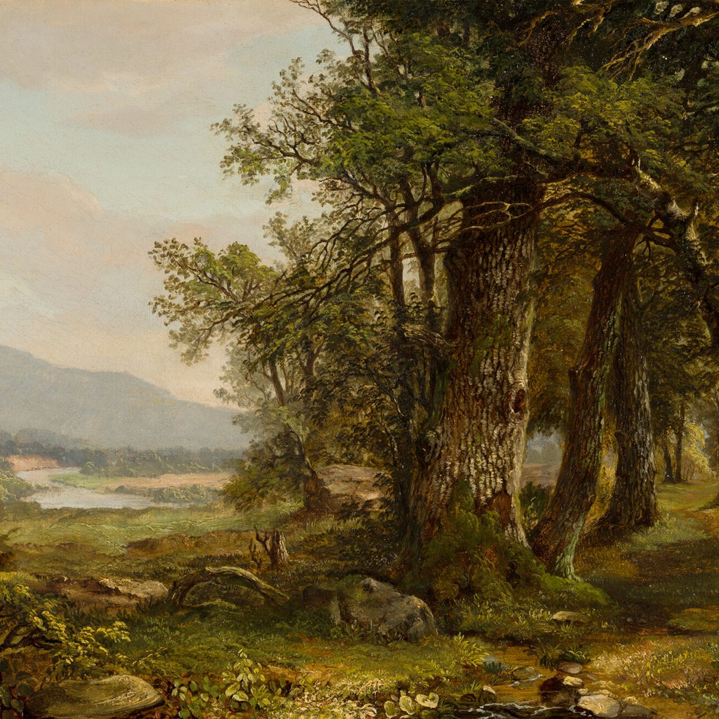 Collection Spotlight: The Hudson River School 2