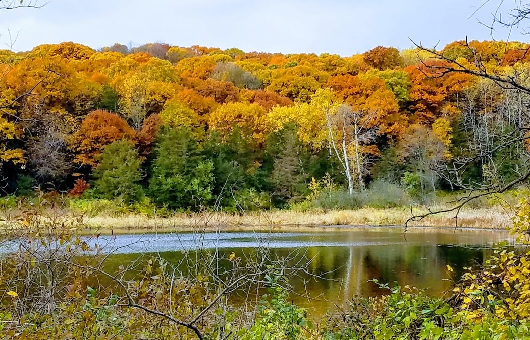 Ravine Trail Run 5k / 10K 2