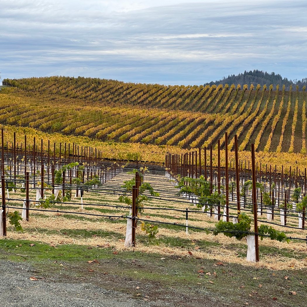 Pride Mountain Vineyards 3