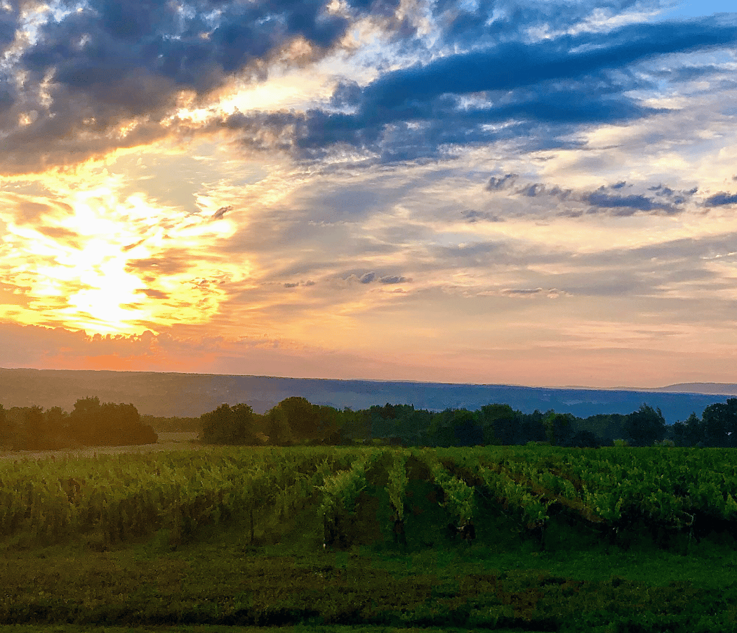 Bet the Farm Winery 2