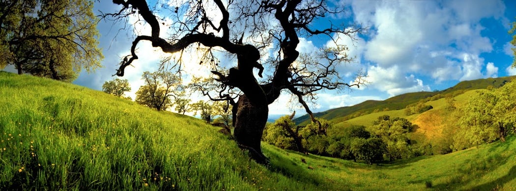 Save Mount Diablo 2