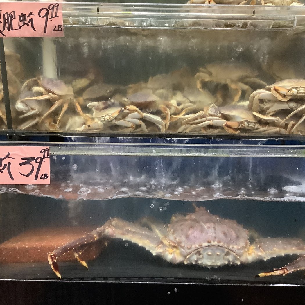 GoldenMart 3