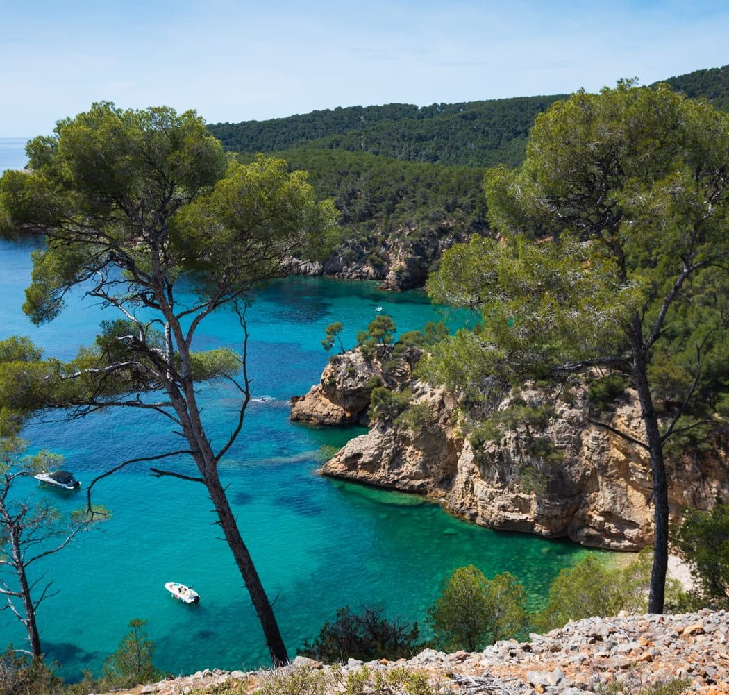 Sainte-Baume Natural Regional Park 4