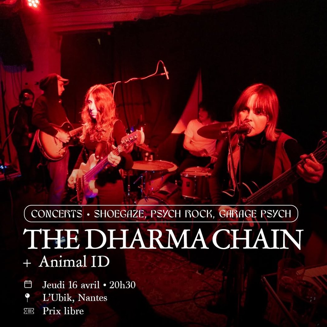 THE DHARMA CHAIN + Animal ID 1