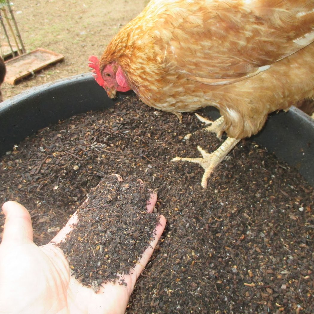 Visite du jardin des vers 1