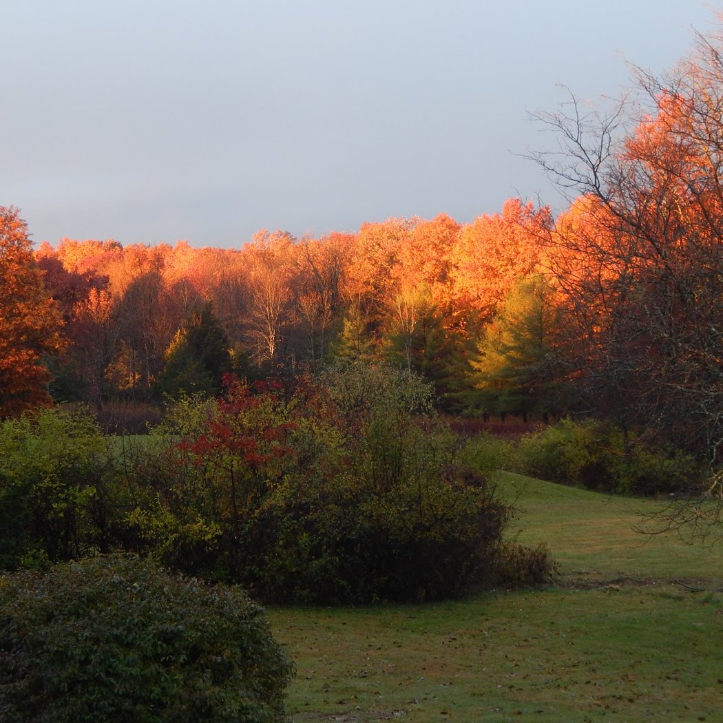 Mountain Meadows Bed & Breakfast 1