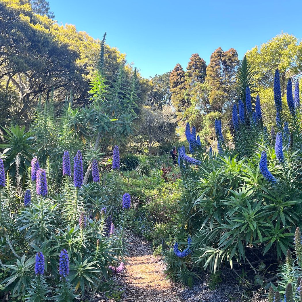 Explore Blake Garden 1