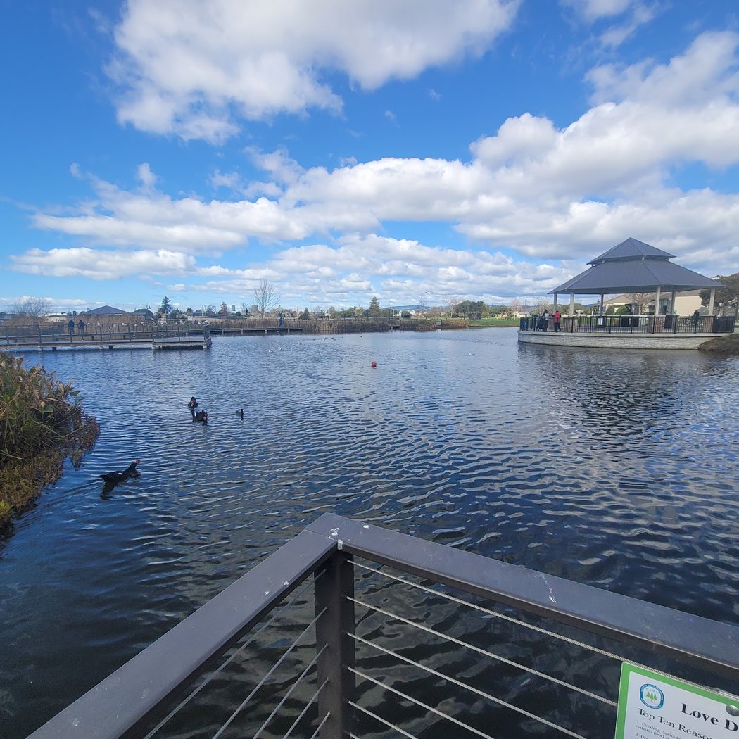 San Lorenzo Community Park 3