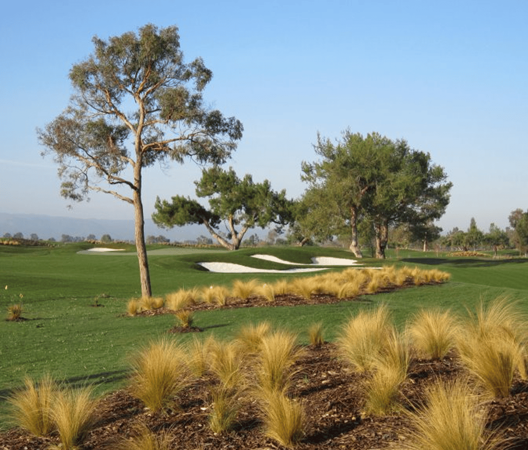 Las Positas Golf Course 2