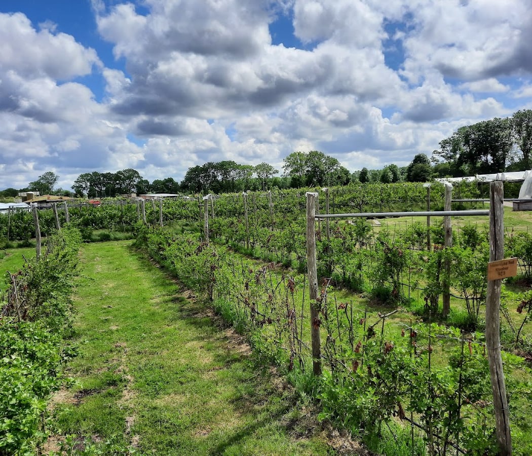 Fruittuin van West 1