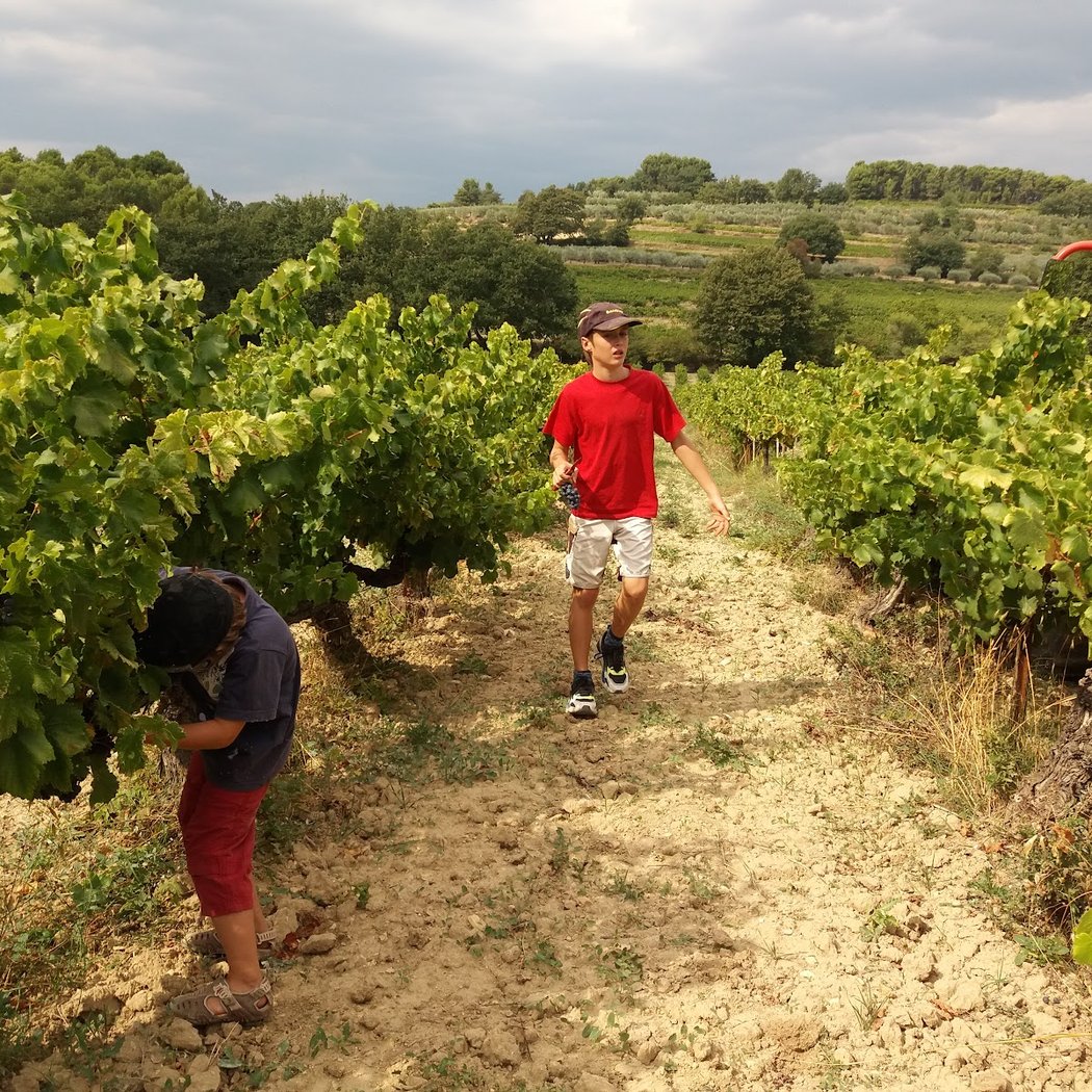domaine des adrès 3