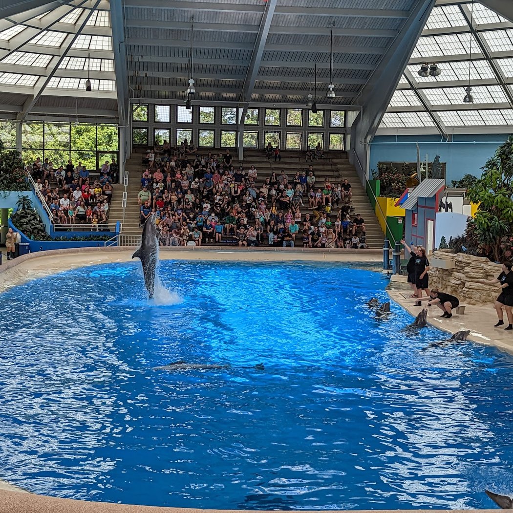 Brookfield Zoo Chicago 3