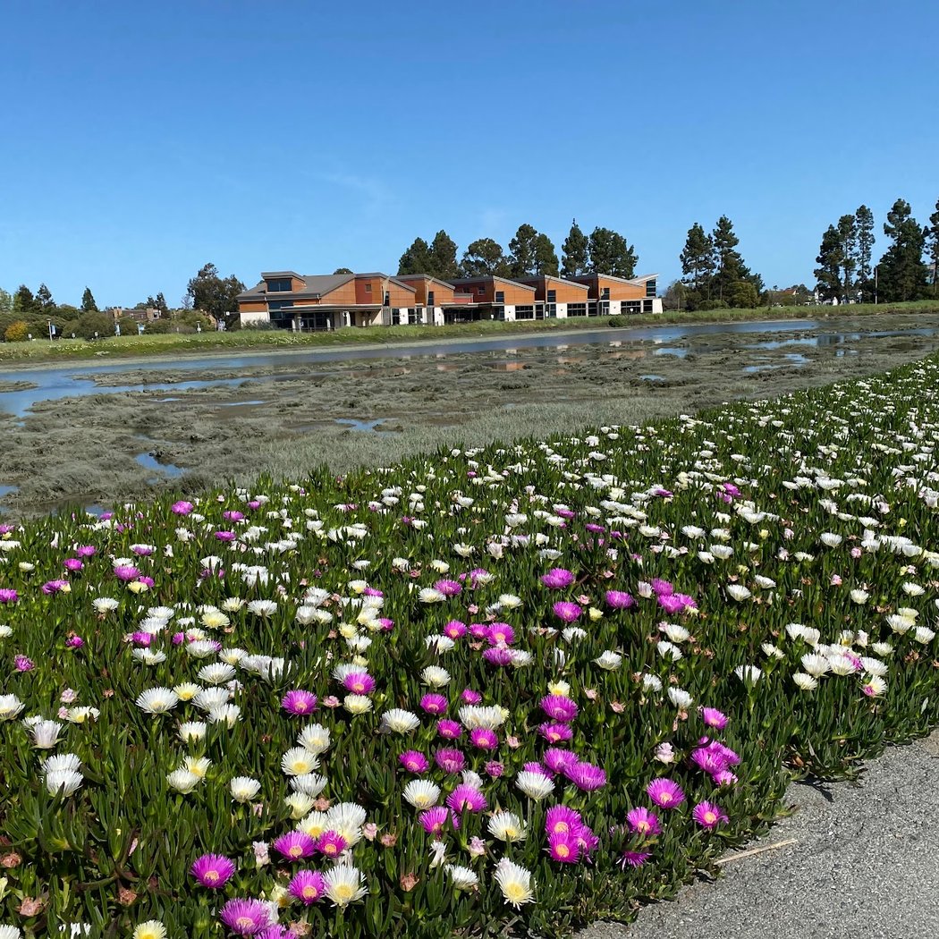 Plan Redwood Life: Community Workshop 1