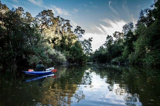 Napa Valley Paddle 1