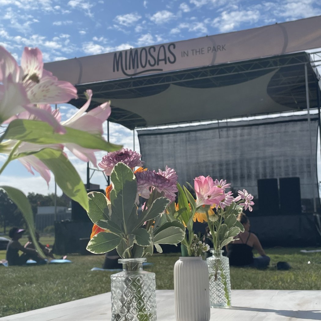 Mimosas in the Park 1