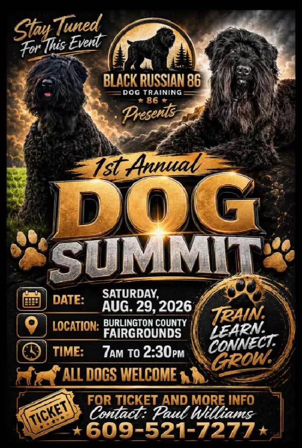 First Annual Dog Summit 1