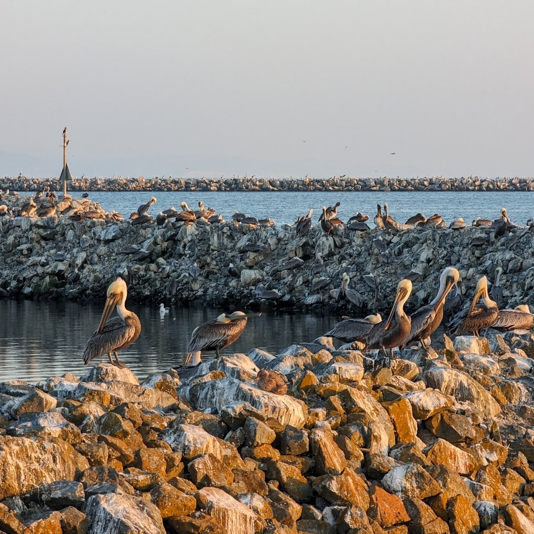 Fishing Pier 2