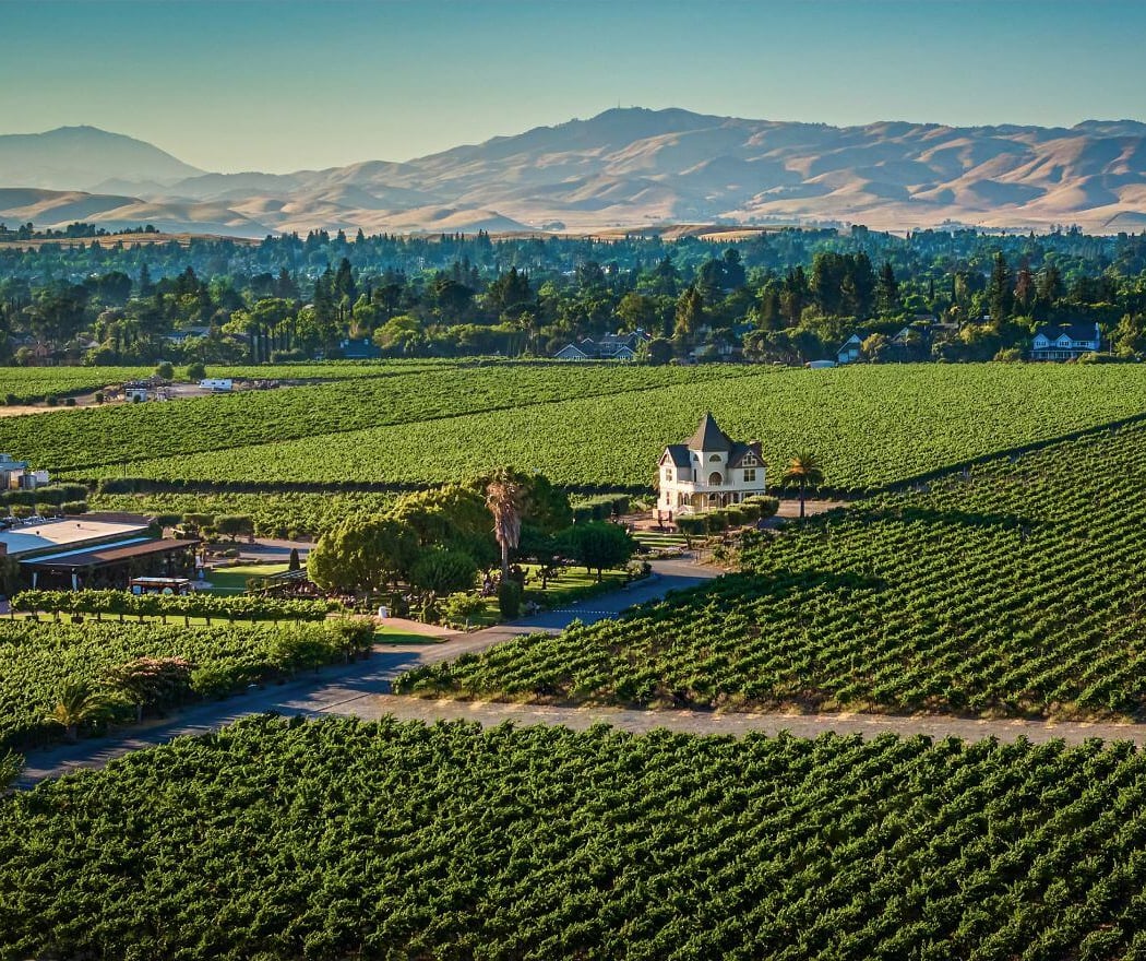 Concannon Vineyard 1
