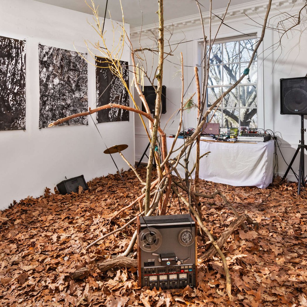 Tree as Medium: Ursula Endlicher, sTo Len, Sam Van Aken 1