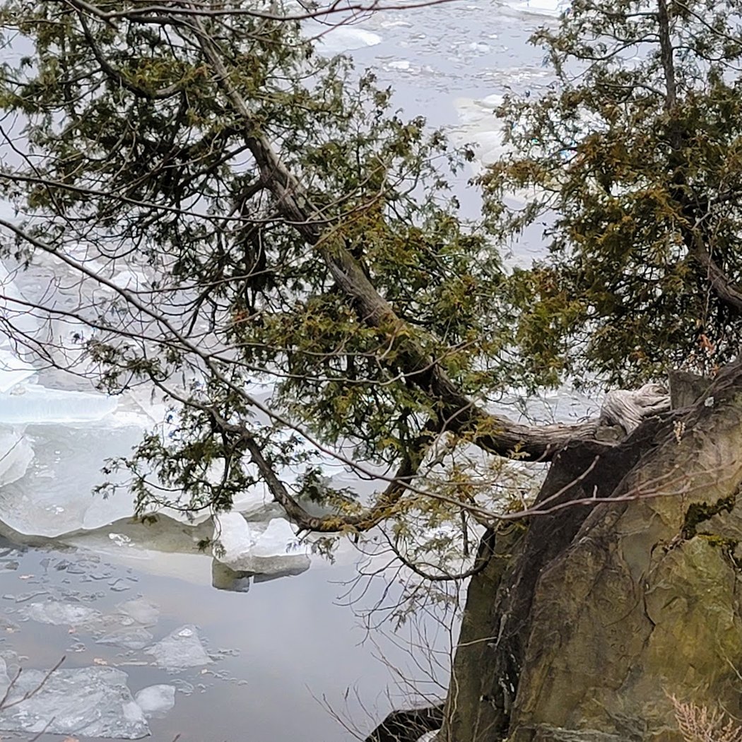 Margaret Norrie State Park 3