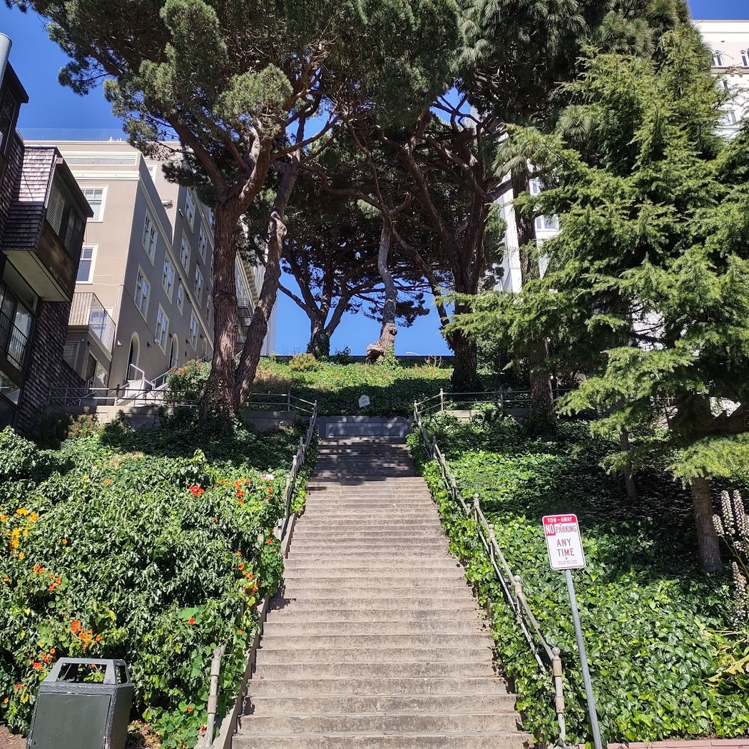 Chestnut Street Stairway Garden 2